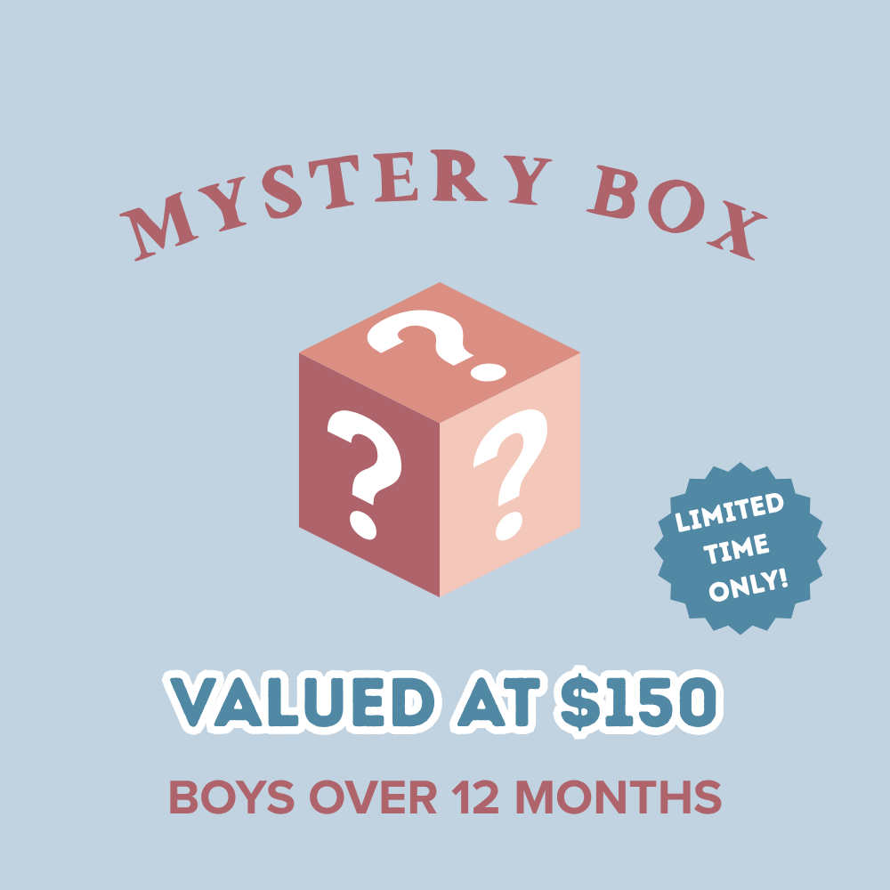 Mystery Box - Boys Over 12 Months