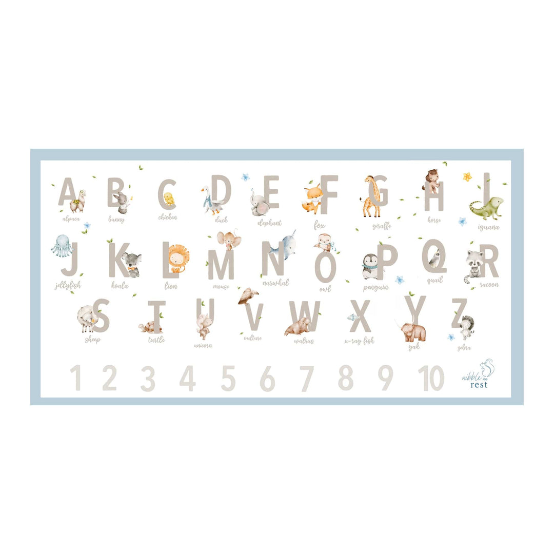 Out and About placemats - pack of 20