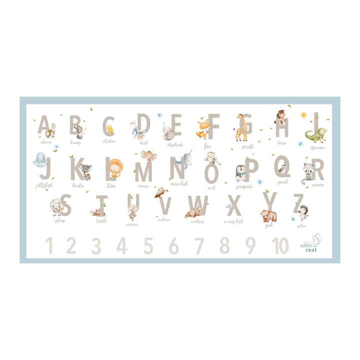 Out and About placemats - pack of 20