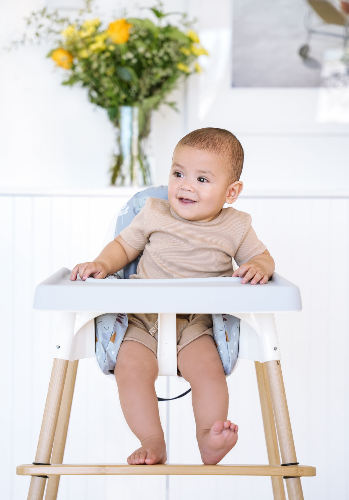 Highchair Accessories